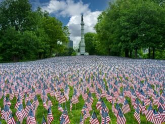Thousands of American flags in Boston park honoring Memorial Day, symbolizing patriotism and remembrance.