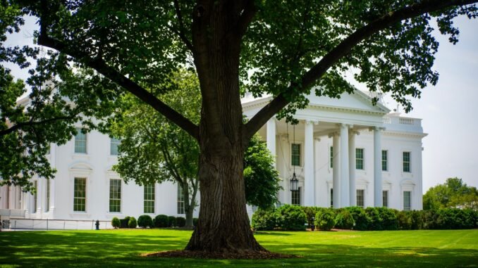A view of the White House with lush greenery on a summer day, featuring a prominent tree.